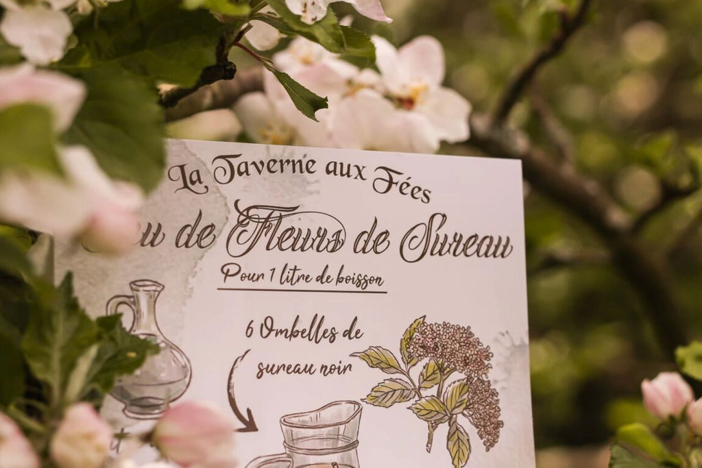 Illustration - Eau de Fleurs de Sureau