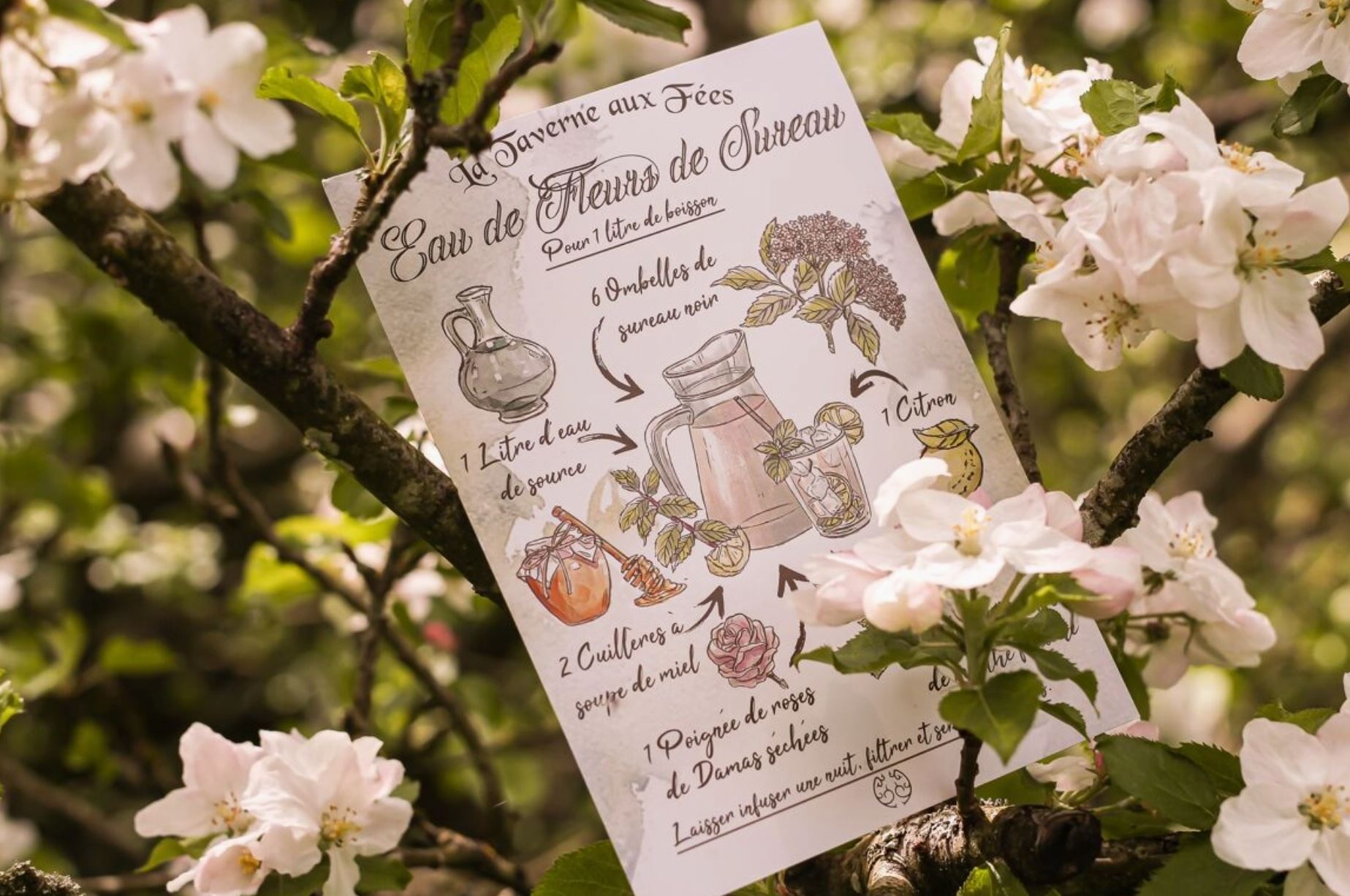 Illustration - Eau de Fleurs de Sureau