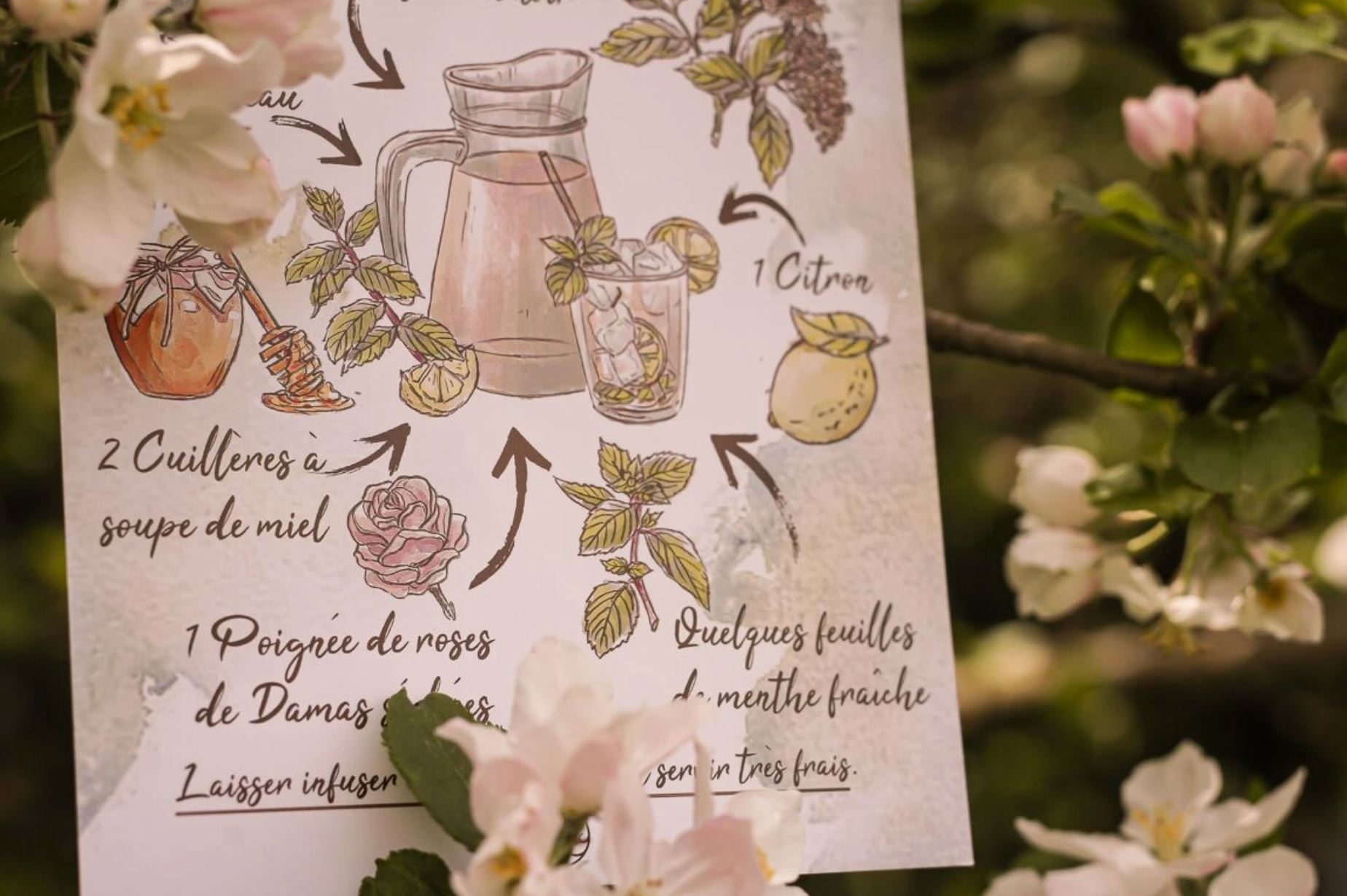 Illustration - Eau de Fleurs de Sureau