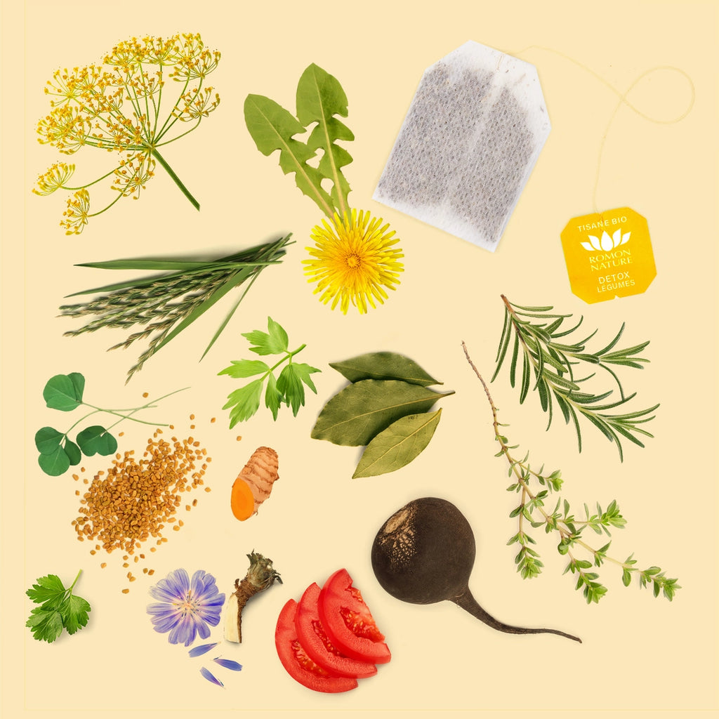 Tisane Détox Légumes BIO