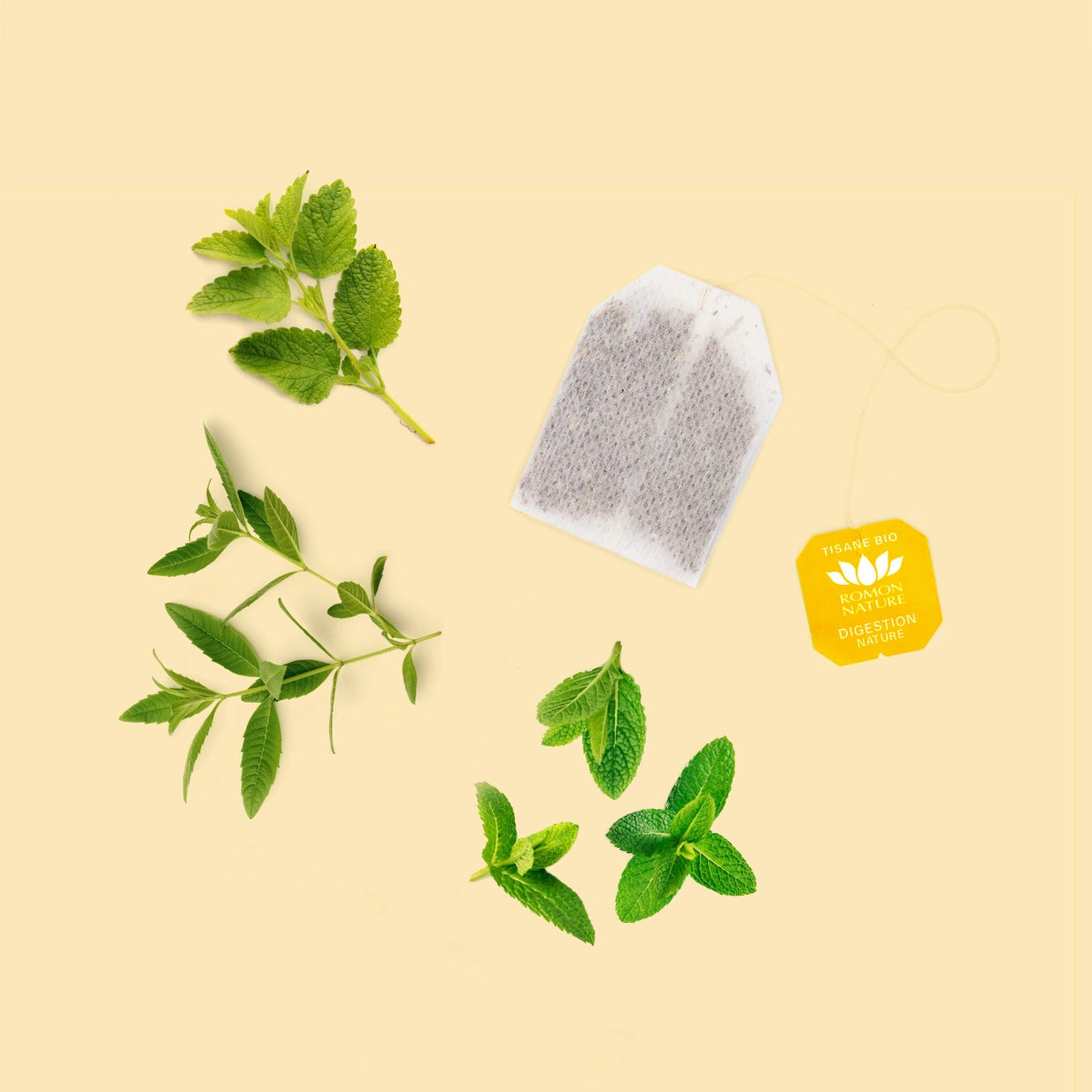 Tisane Digestion Nature BIO