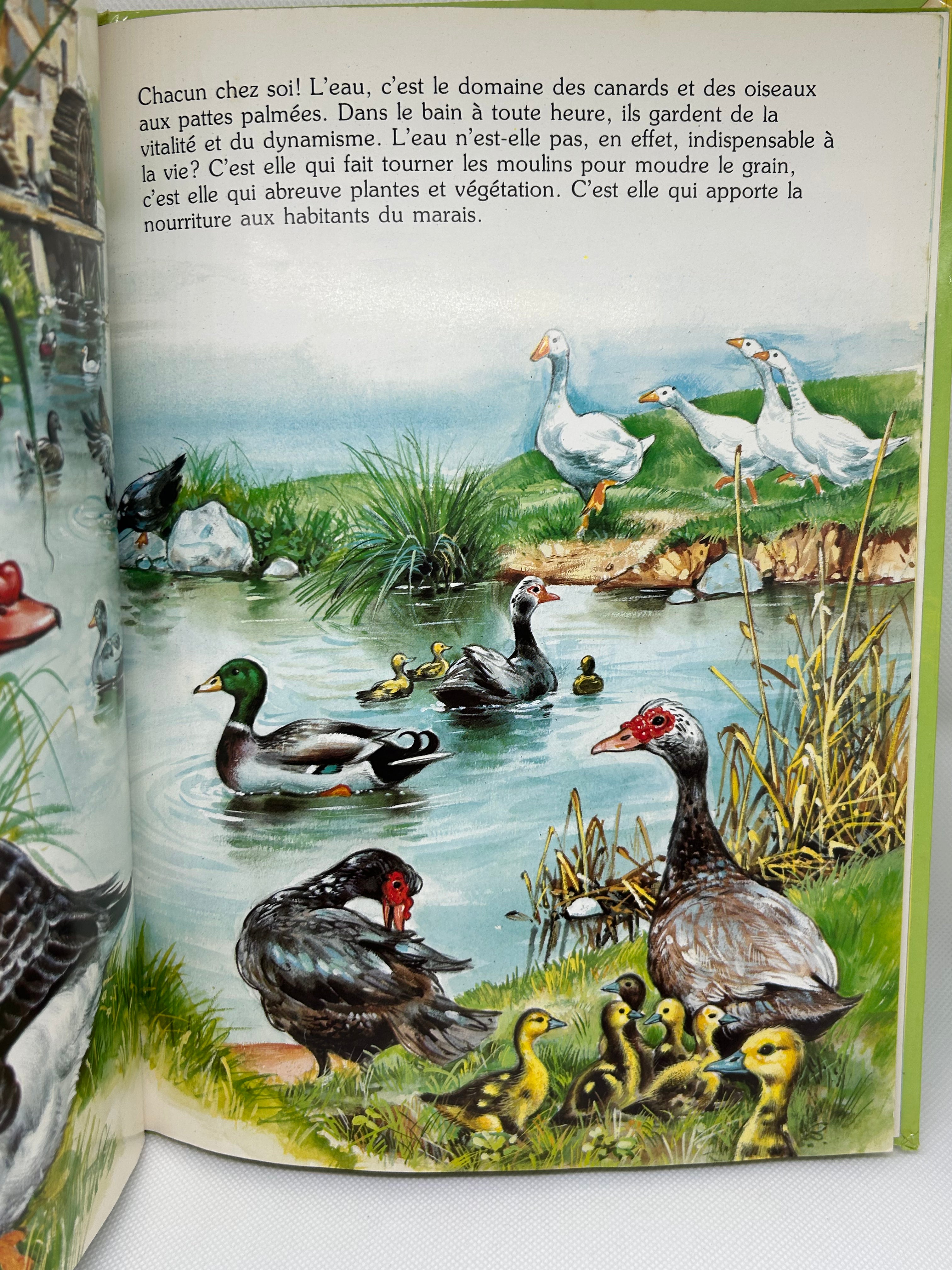 (Livre d’occasion) J’ai rencontré dans les prés - J. Barnabé-Dauvister