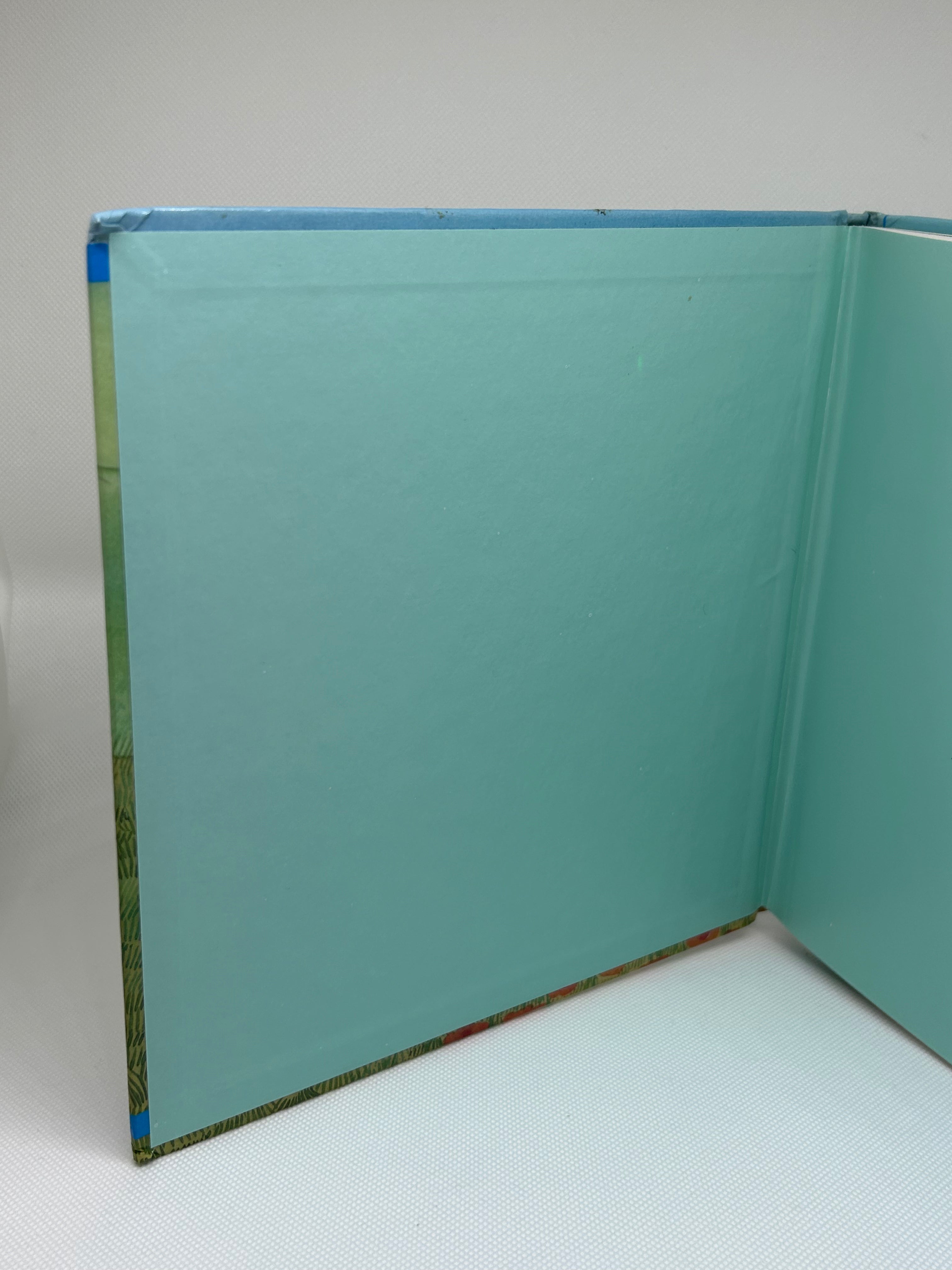 (Livre d’occasion) - Adrien à la campagne ! Illustré par Mireille Delon-Boltz