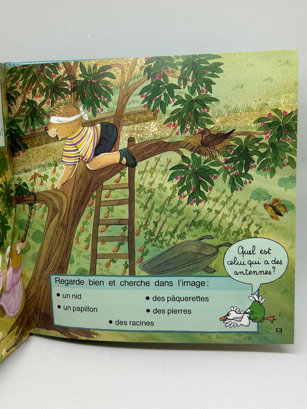 (Livre d’occasion) - Adrien à la campagne ! Illustré par Mireille Delon-Boltz