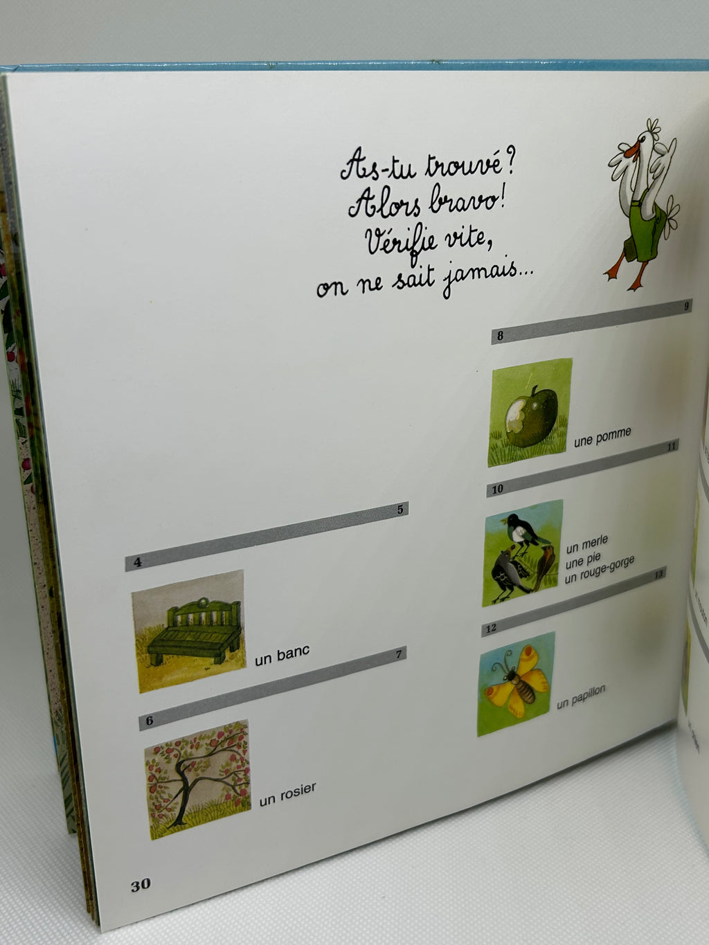 (Livre d’occasion) - Adrien à la campagne ! Illustré par Mireille Delon-Boltz