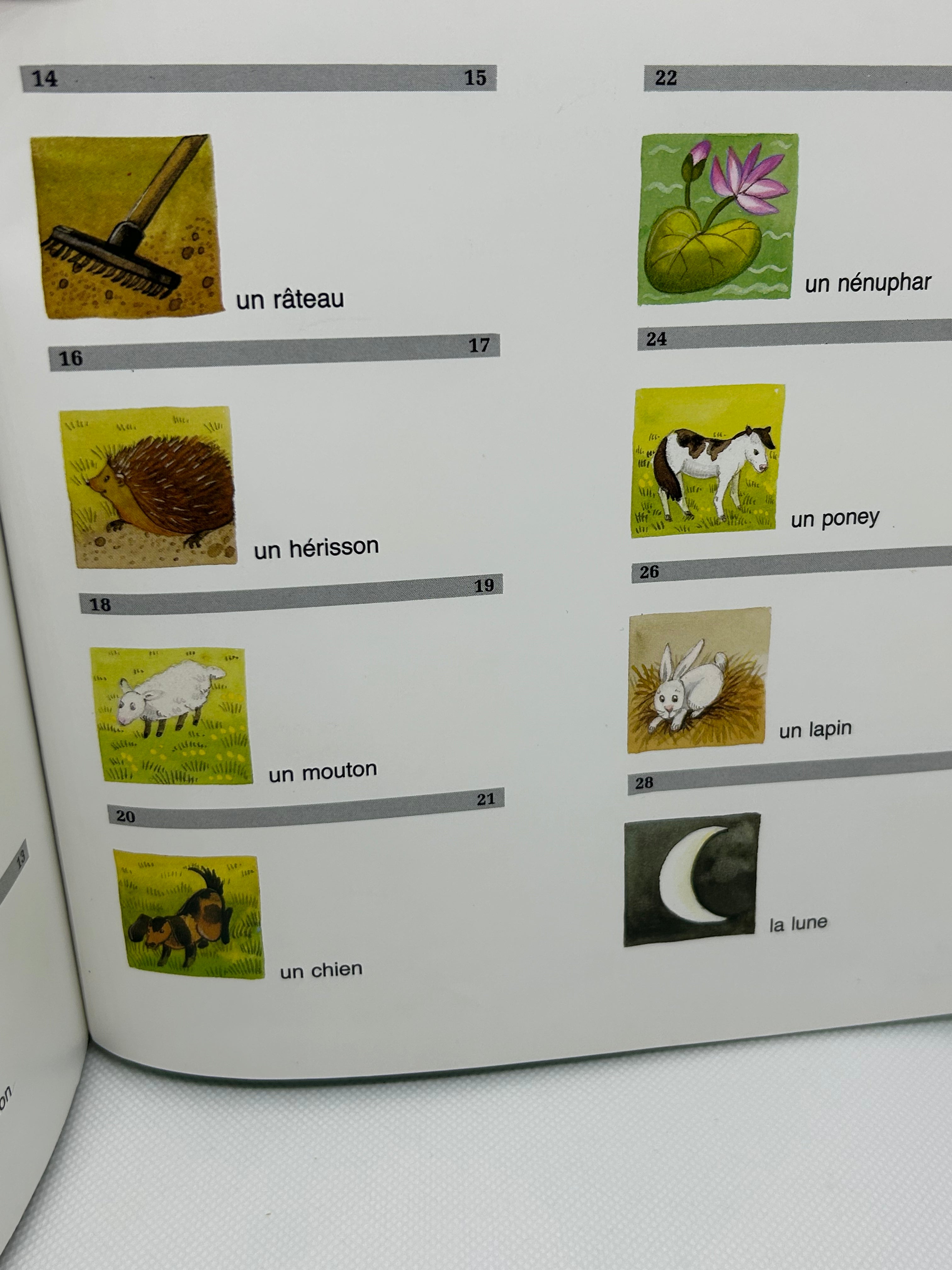 (Livre d’occasion) - Adrien à la campagne ! Illustré par Mireille Delon-Boltz