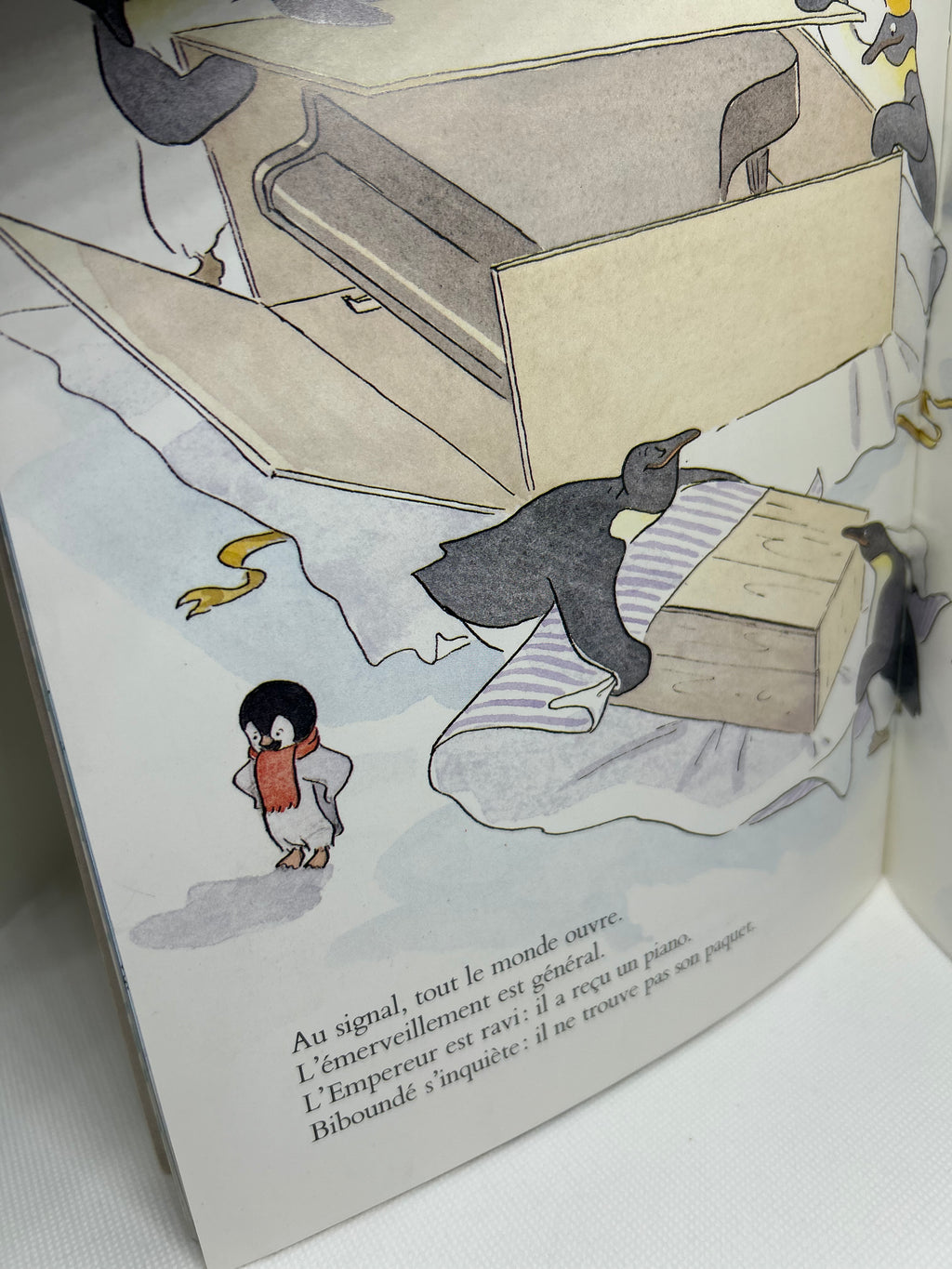 (Livre d’occasion) Biboundissimo - Michel Gay