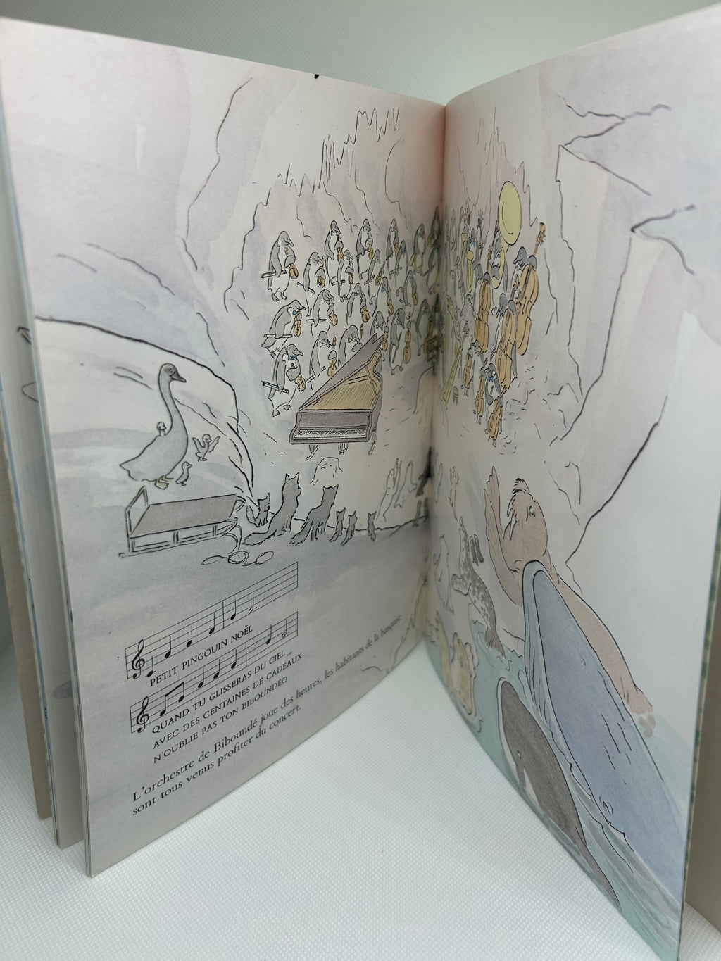 (Livre d’occasion) Biboundissimo - Michel Gay